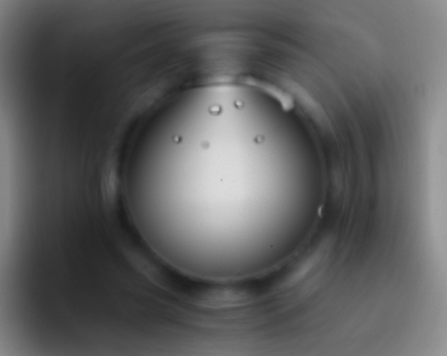 X0000092310541200709211251