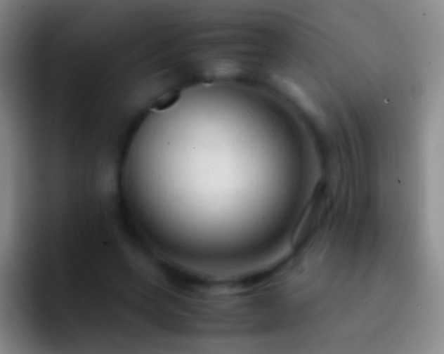 X0000092310543200709211251