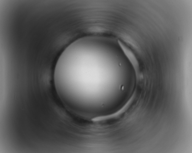 X0000092310544200709211251