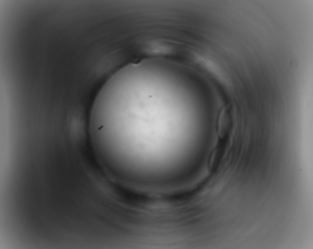 X0000092310547200709211251