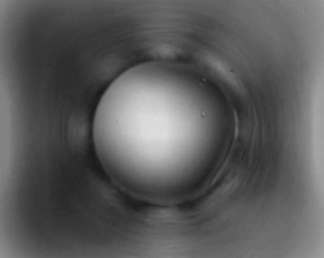 X0000092310548200709211251