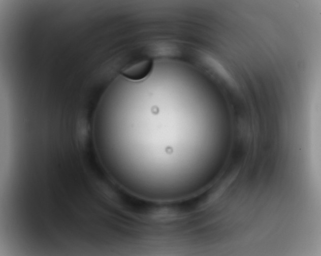 X0000092310549200709211251