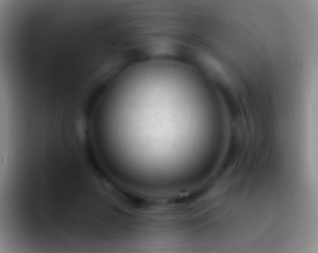 X0000092310550200709211251