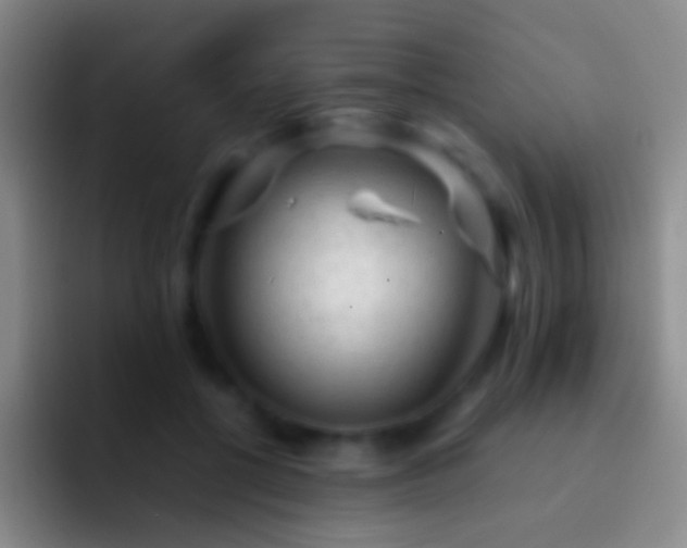 X0000092310552200709211251