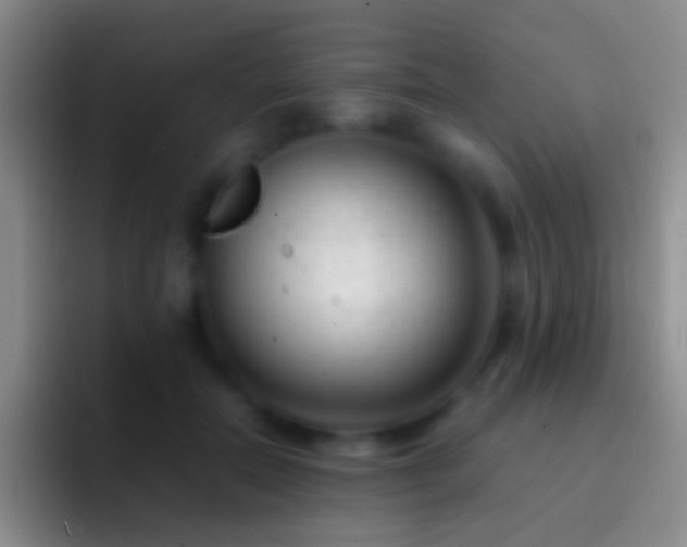 X0000092310554200709211251