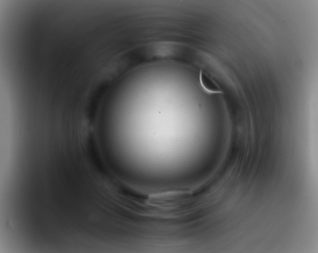 X0000092310555200709211251