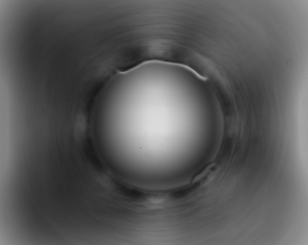 X0000092310560200709211251