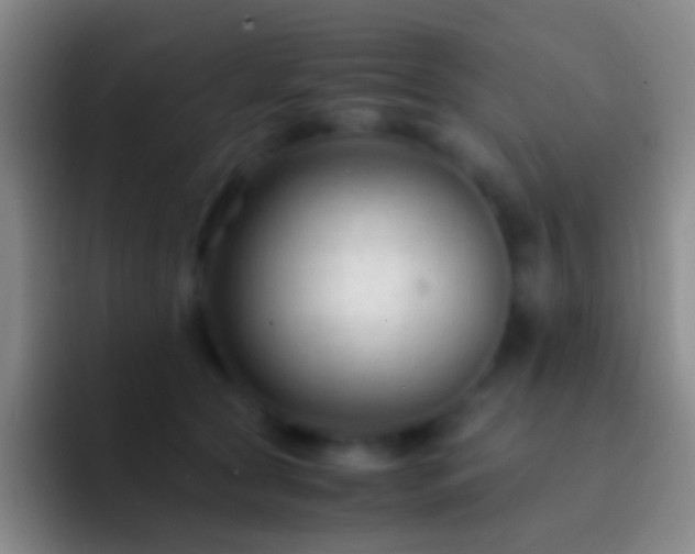 X0000092310561200709211251