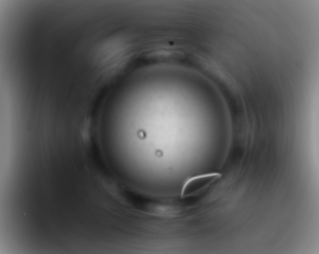 X0000092310563200709211251