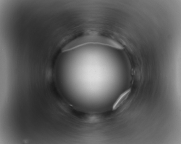 X0000092310564200709211251