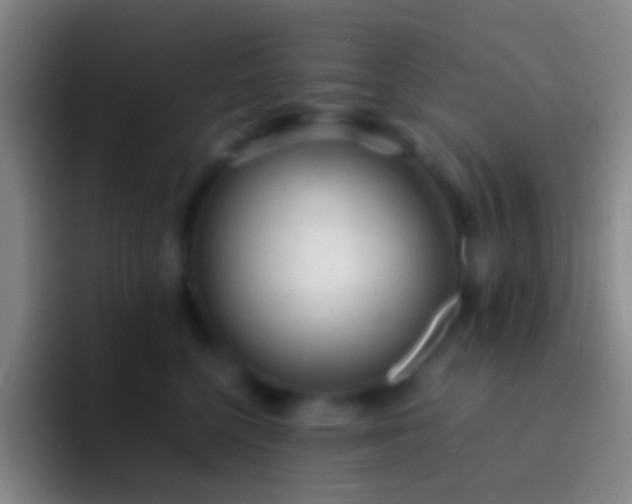 X0000092310568200709211251