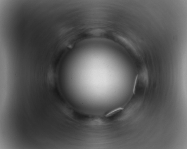 X0000092310572200709211251