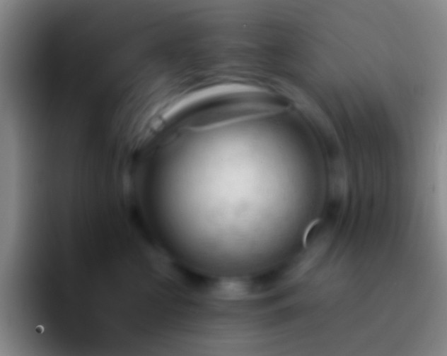 X0000092310573200709211251
