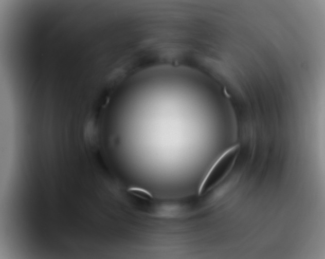 X0000092310575200709211251