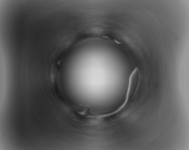 X0000092310576200709211251