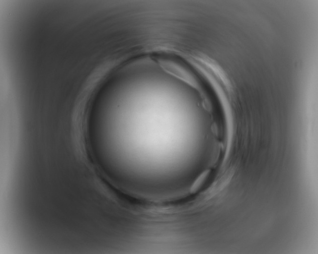 X0000092310577200709211251