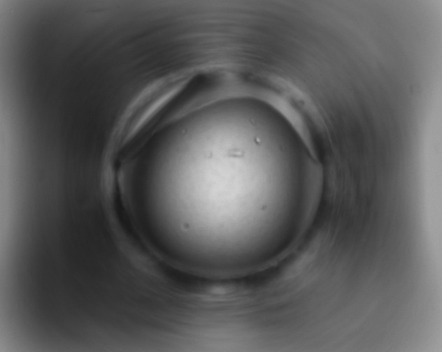 X0000092310584200709211251