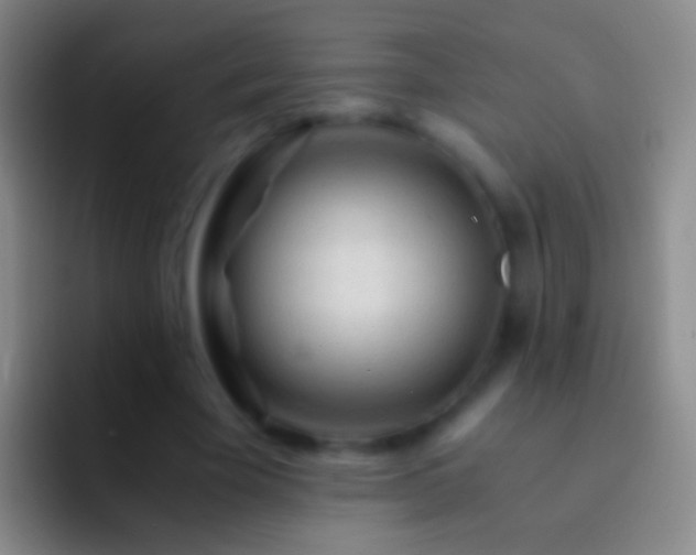 X0000092310585200709211251