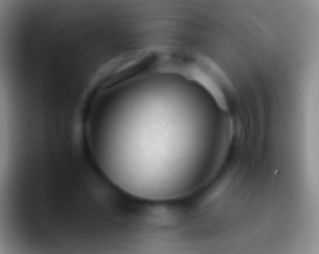 X0000092310588200709211251