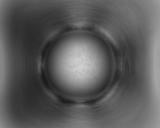X0000092310590200709211251
