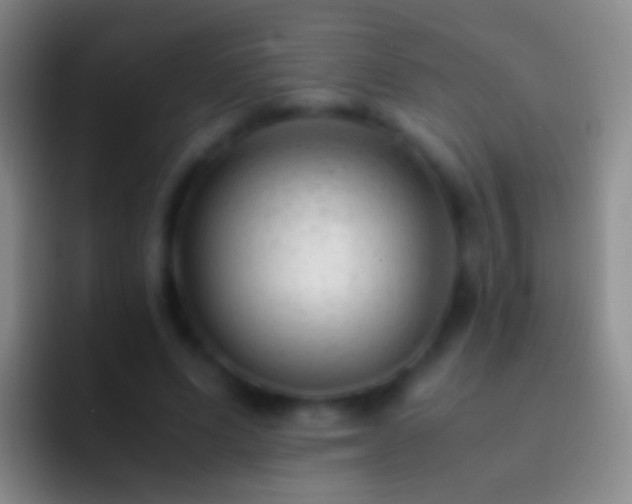 X0000092310591200709211251