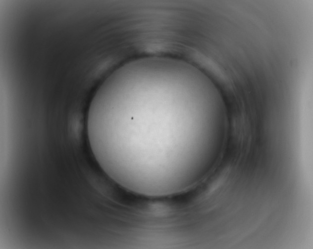 X0000092310592200709211251