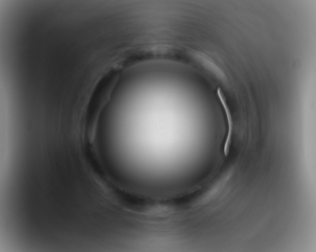 X0000092310593200709211250