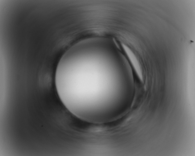 X0000092310595200709211250