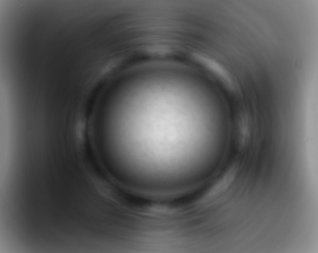 X0000092310596200709211250