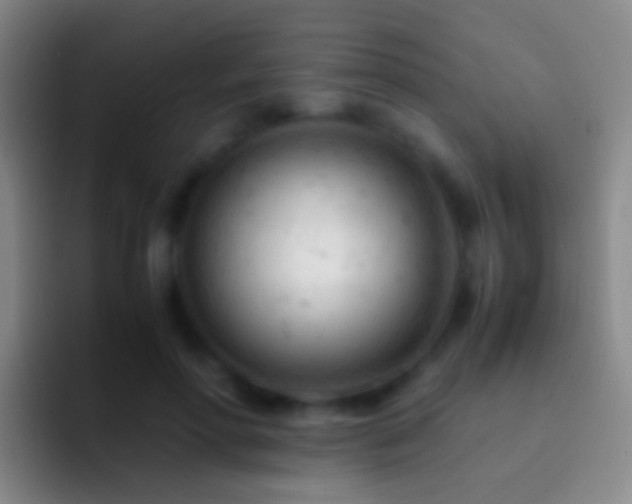 X0000092310598200709211250