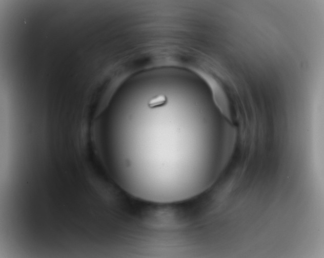 X0000092310600200709211250
