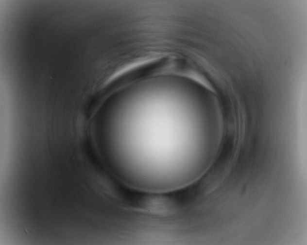 X0000092310605200709211250