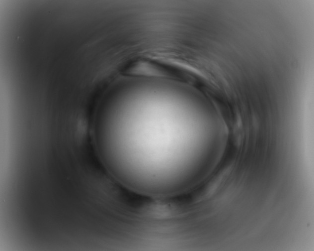 X0000092310608200709211250