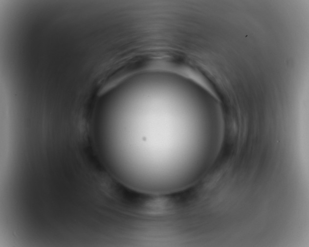 X0000092310609200709211250