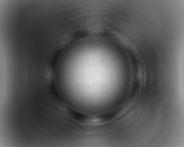 X0000092310610200709211250