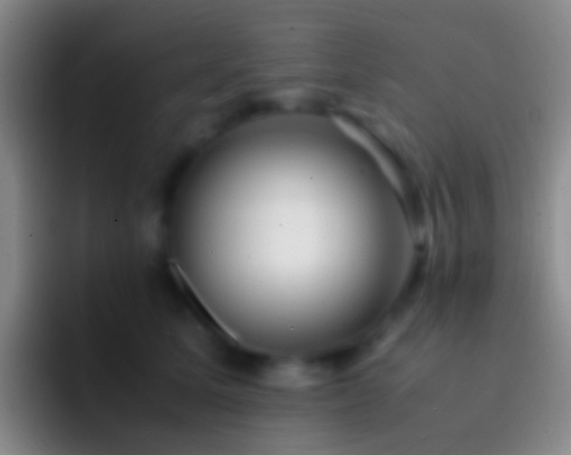 X0000092310611200709211250