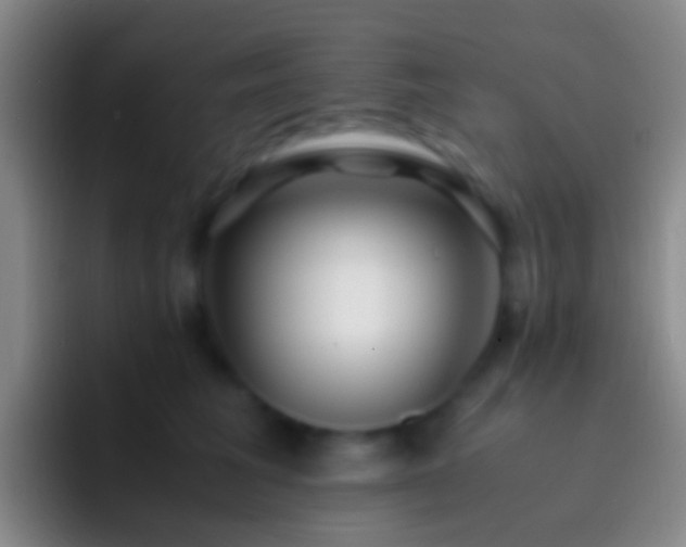 X0000092310613200709211250