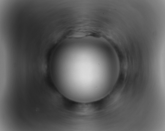 X0000092310615200709211250