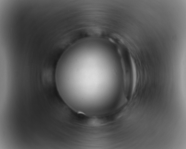 X0000092310616200709211250