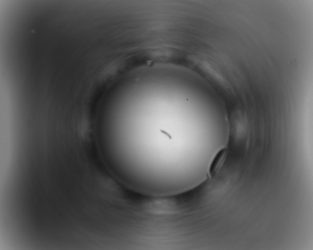 X0000092310619200709211250