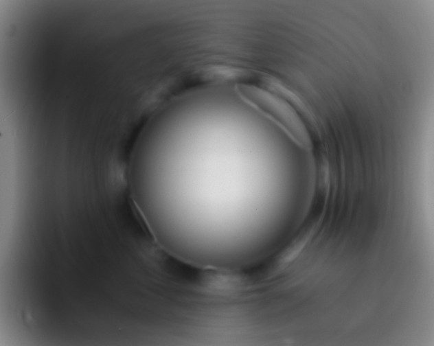 X0000092310621200709211250
