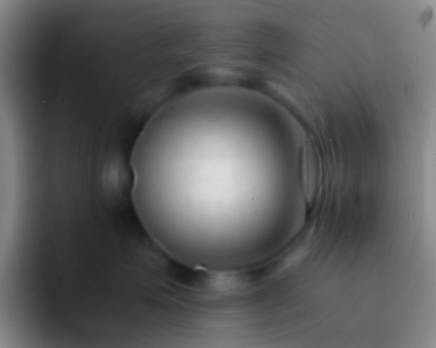X0000092310623200709211250