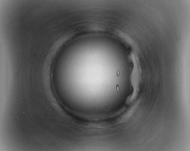 X0000092310625200709211250