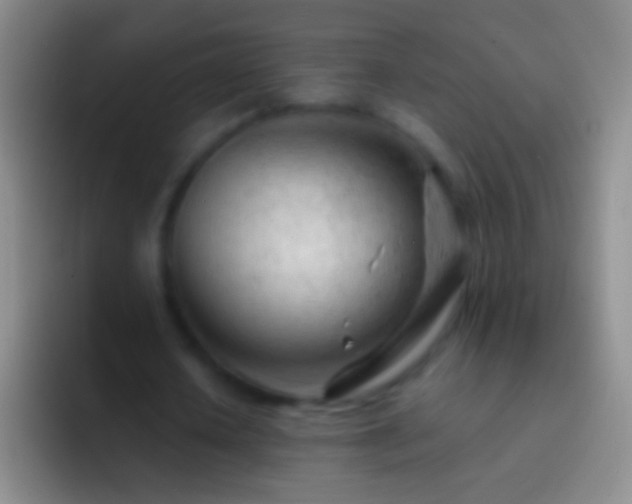 X0000092310626200709211250