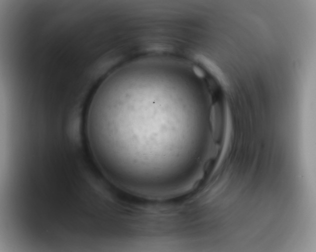X0000092310627200709211250
