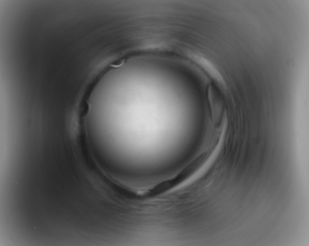 X0000092310628200709211250