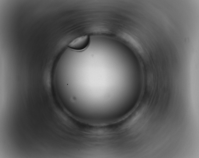 X0000092310629200709211250