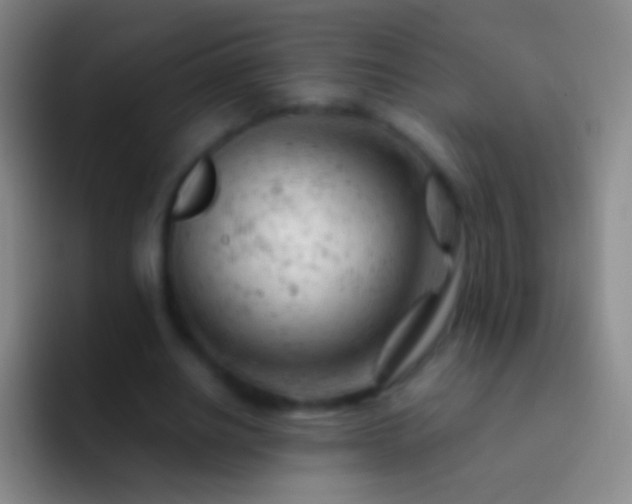 X0000092310630200709211250