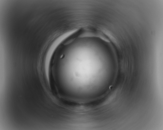 X0000092310634200709211250