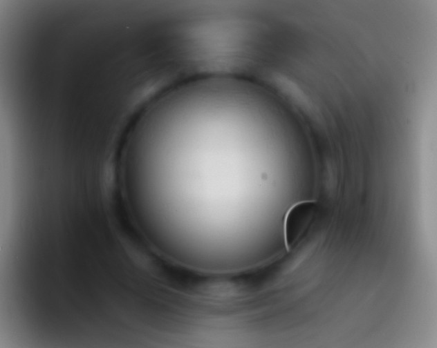 X0000092310636200709211250